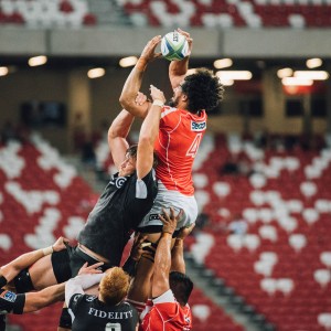 开云-跨界奇迹？字母哥加盟尤文图斯引发战术革命！字母哥加盟尤文图斯，跨界革命引发战术变革